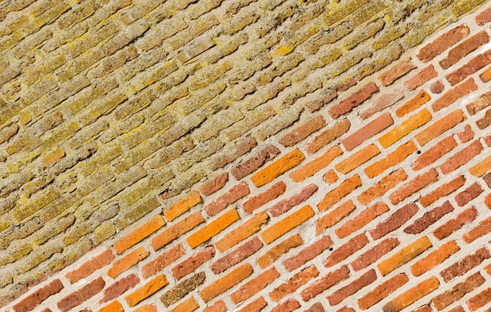 Microbillage à Pessac